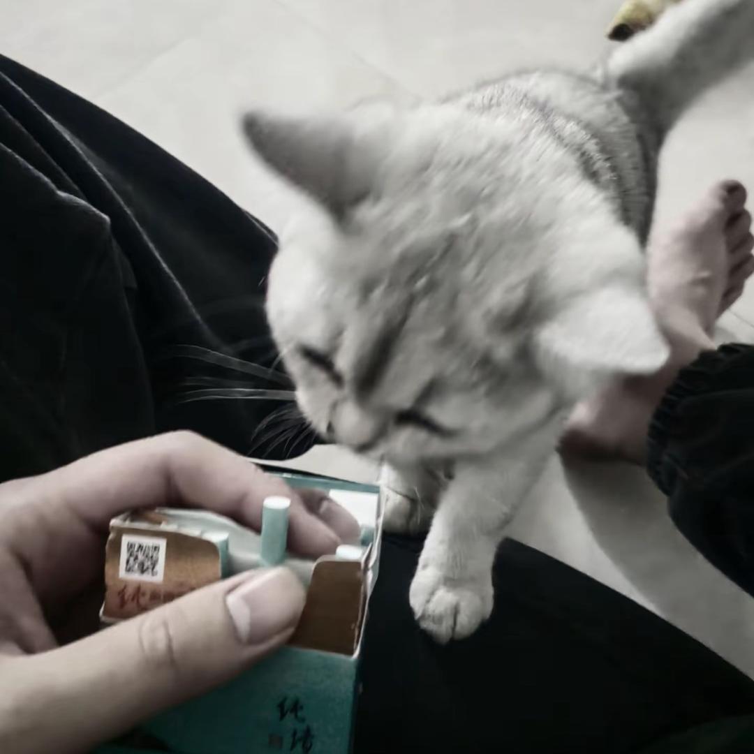 言成蹊