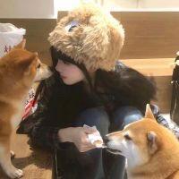 如意