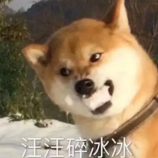 欧拉欧拉欧拉欧