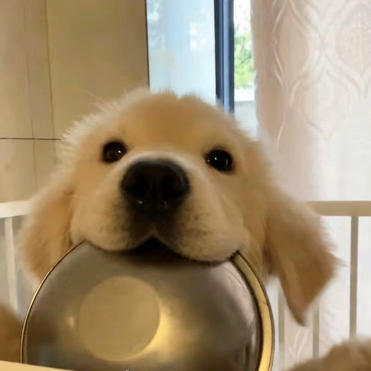 运气超好的红烧肉🐟