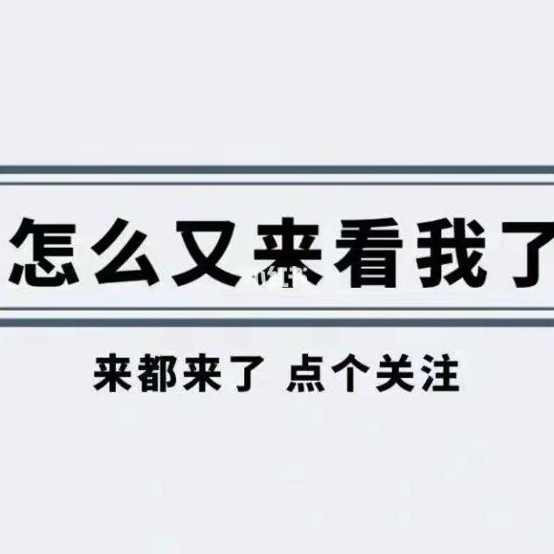 清风明月
