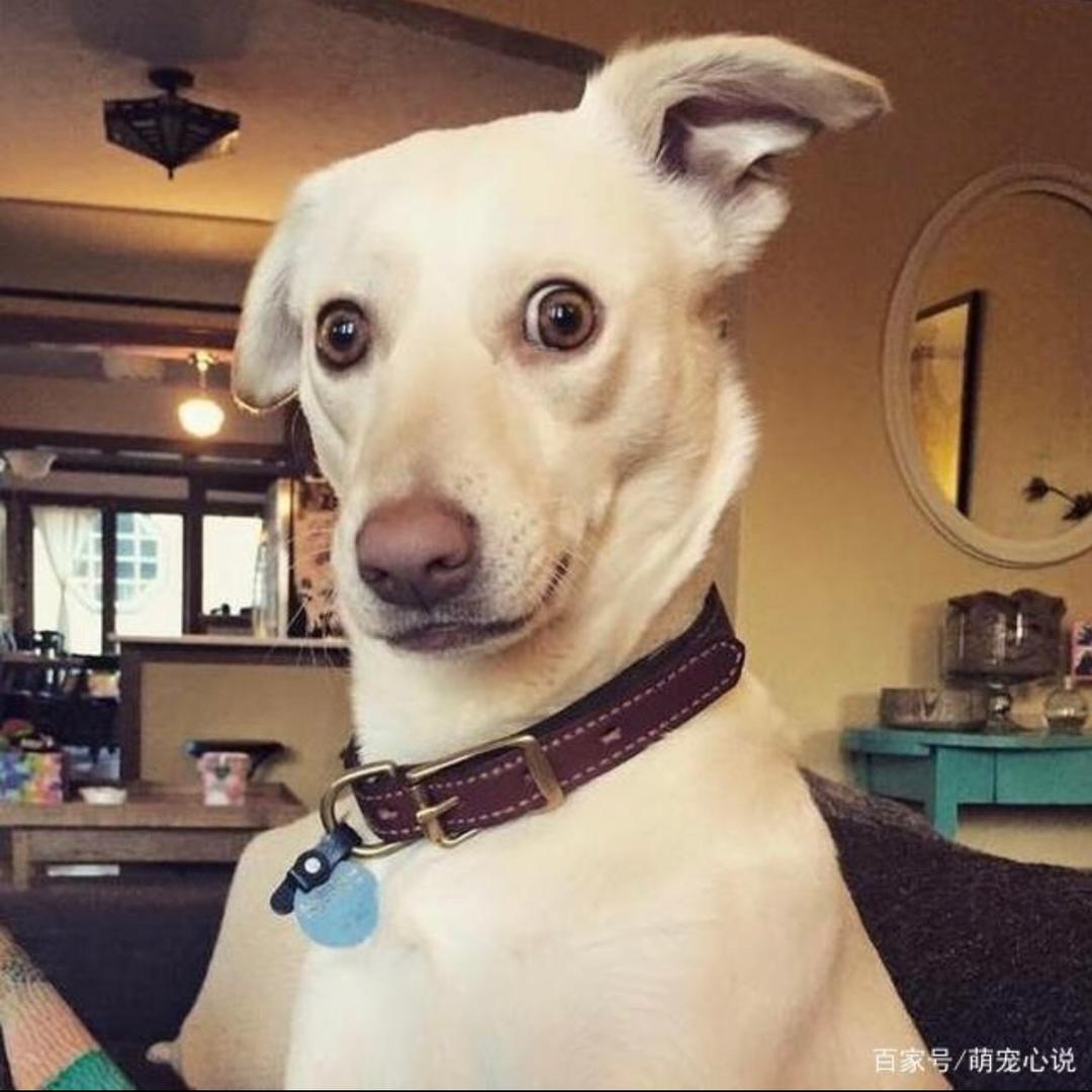 快乐积木屋