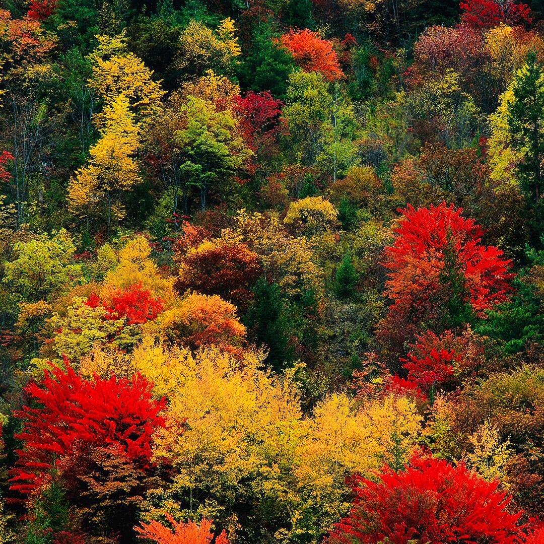 平凡的生活，不平凡的人生凡（好物分享）