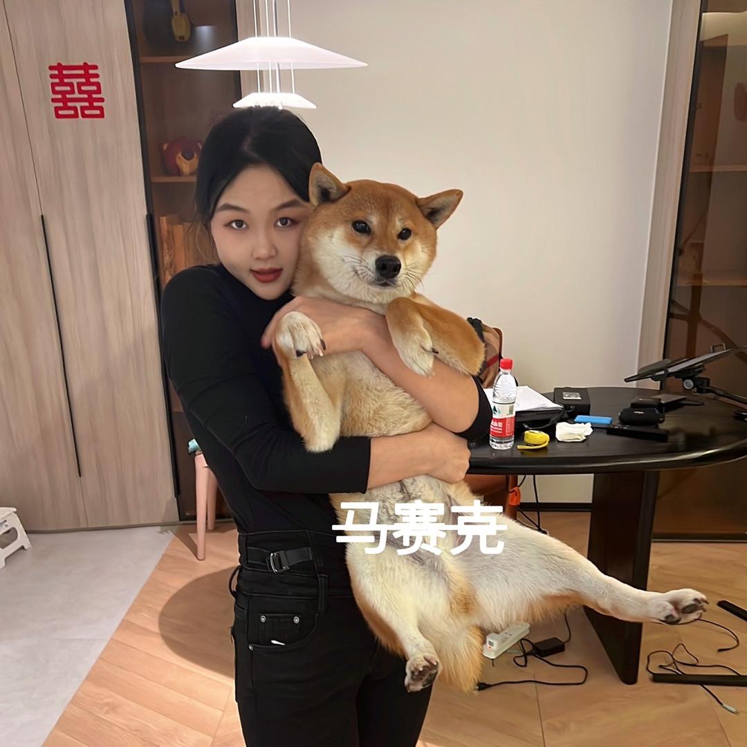 滑马