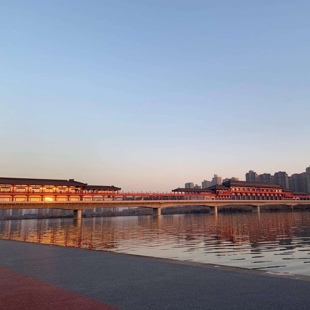 ꧁❦༺柠檬🍋༻❦꧂