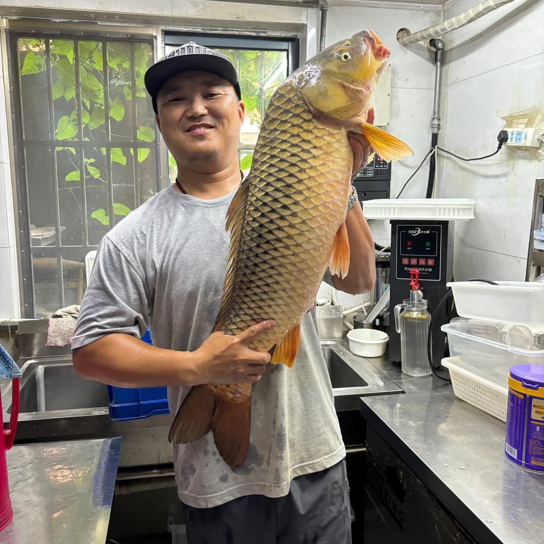 蒋浪浪撒网
