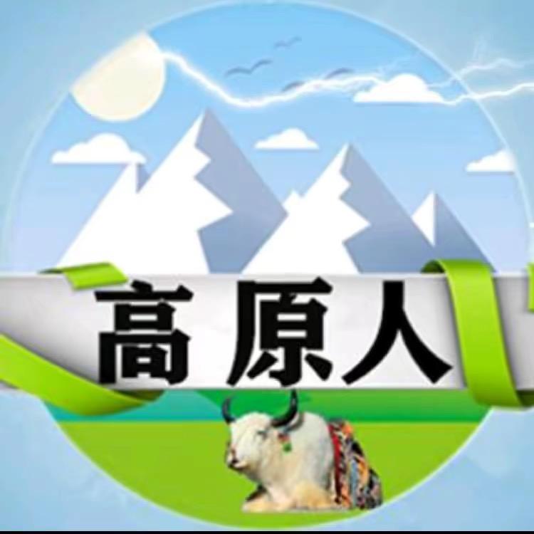 高原人冬瓜