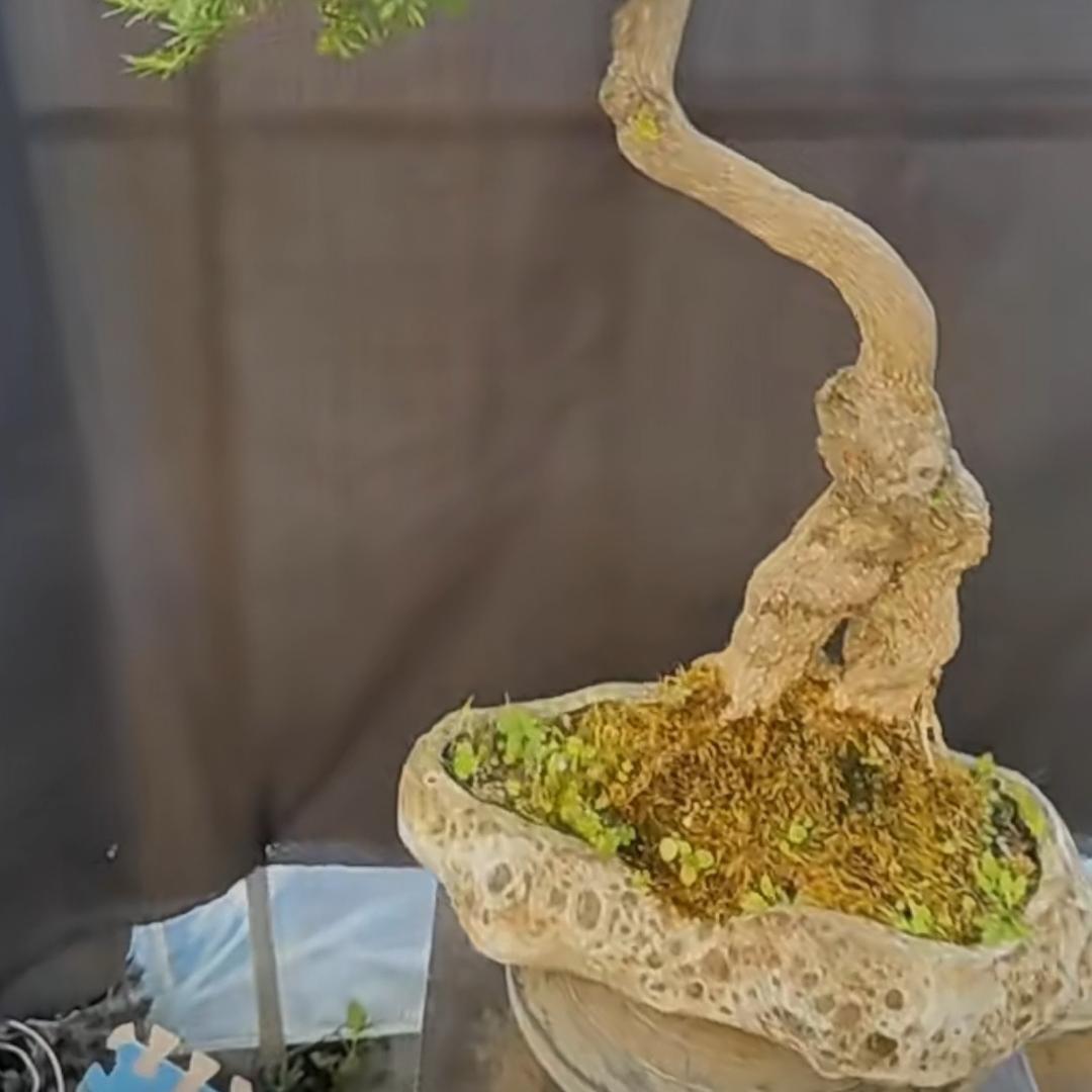 鑫阳生态农场