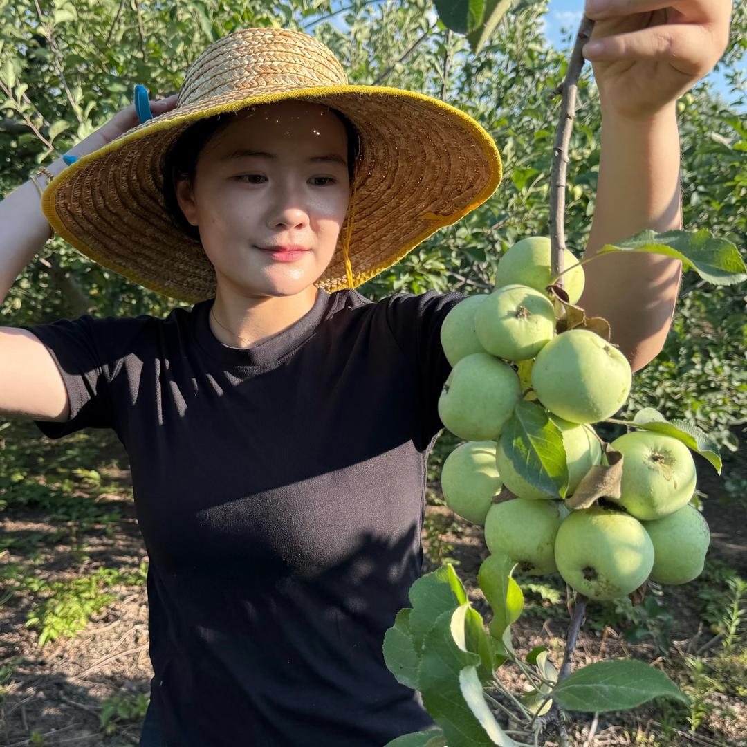 全中李梦林讲农业