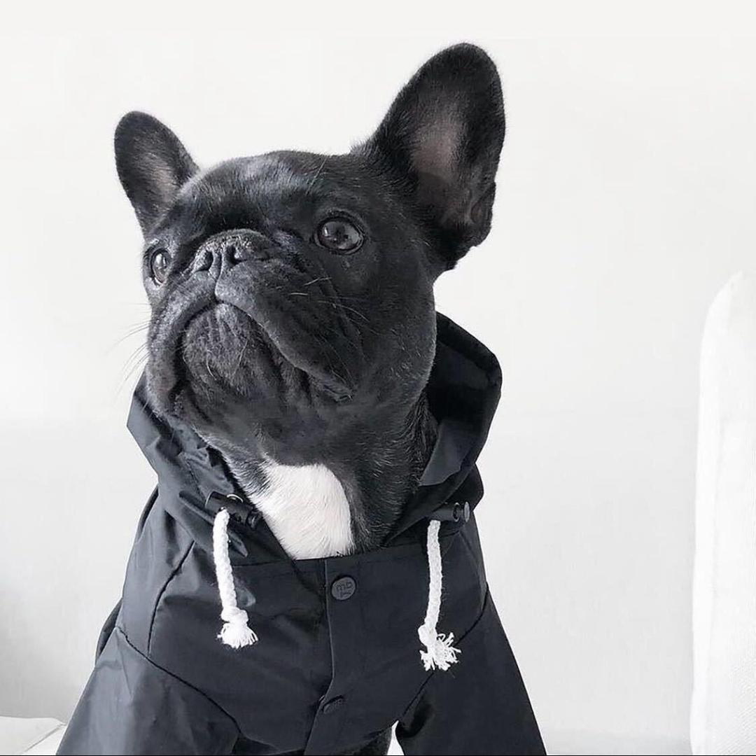 啊杰🍠前端流量