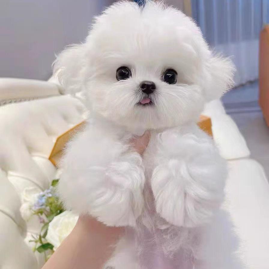 ⭐️☀️🌟⚡️💫✨