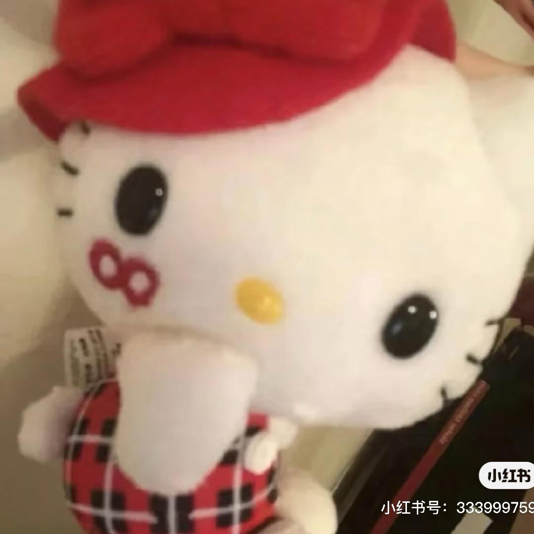 沙拉ദ്ദി˶ᕑᗢᓫ)✧