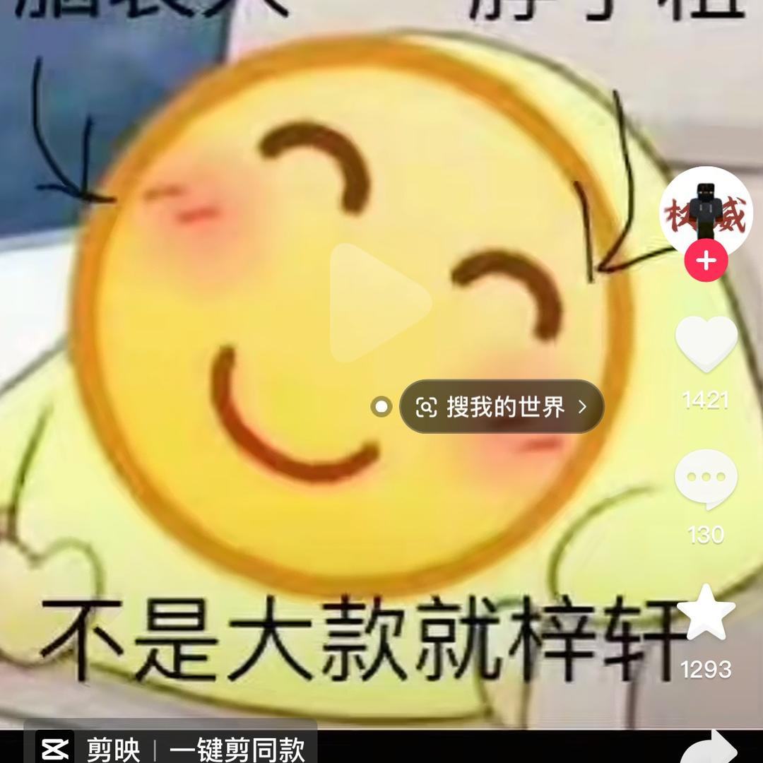 椰子我的世界
