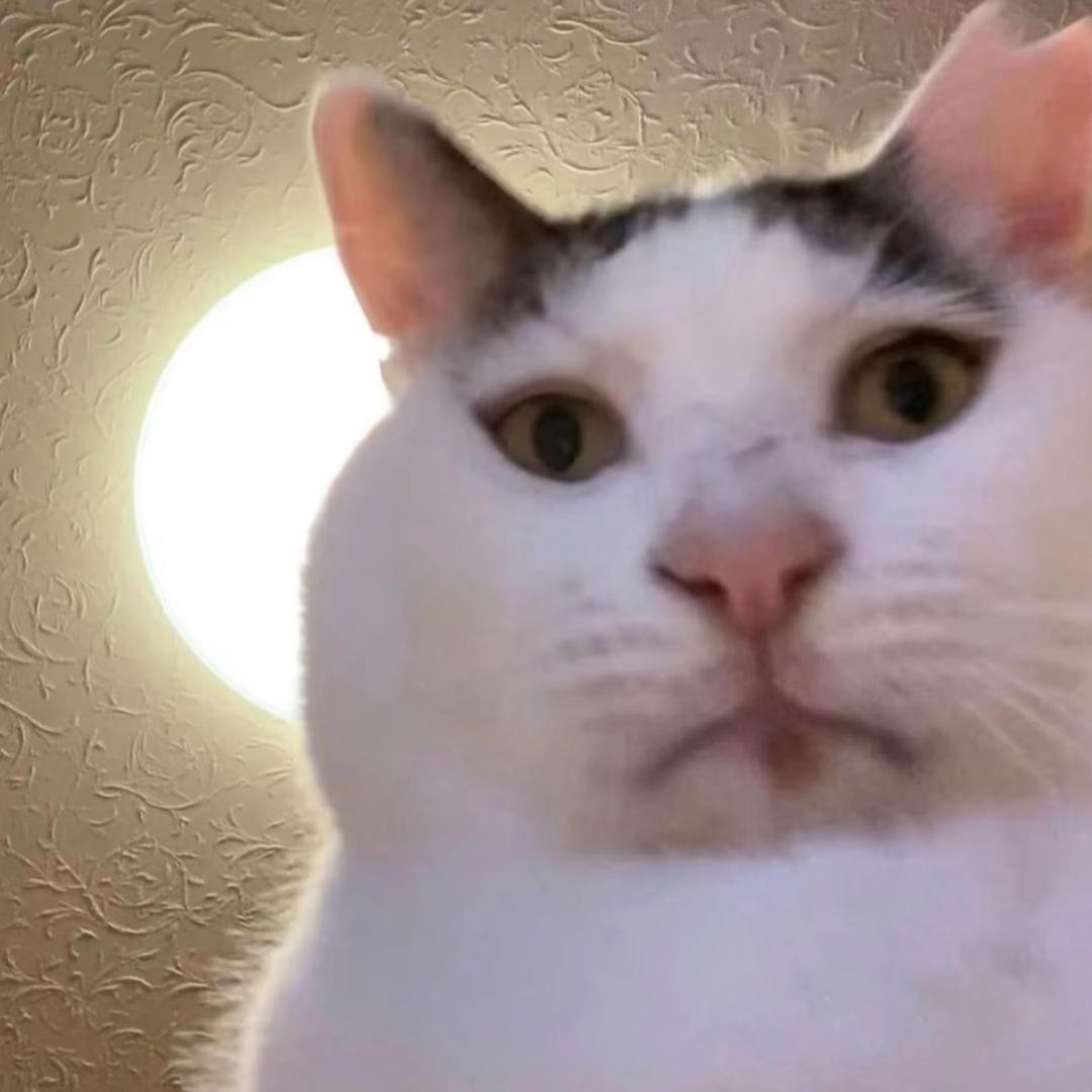 _77cc