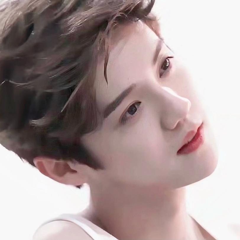 杨树林☀️