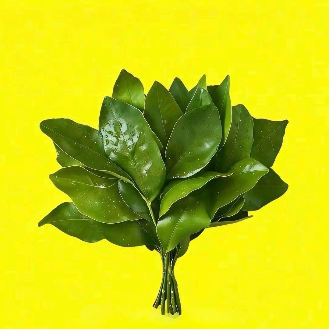 悸野