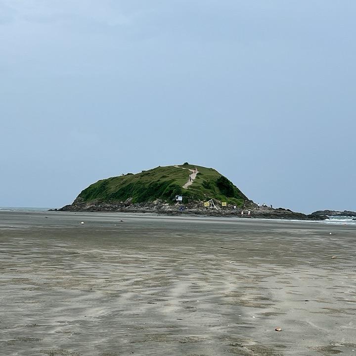 双月湾恒子哥赶海直播号