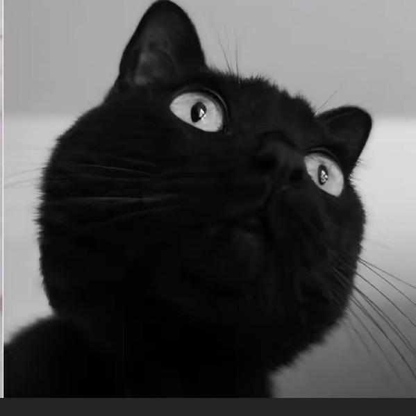 哈？