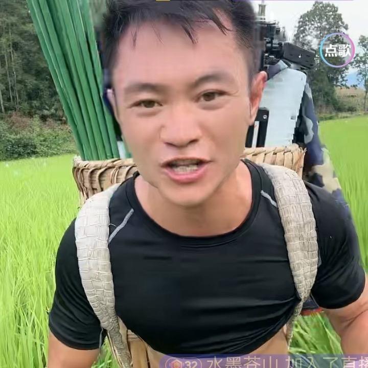 镇宁自治县潘涛涛蜂糖李果园