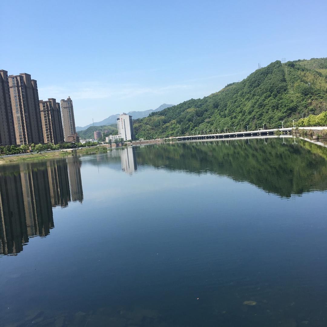 智三哥