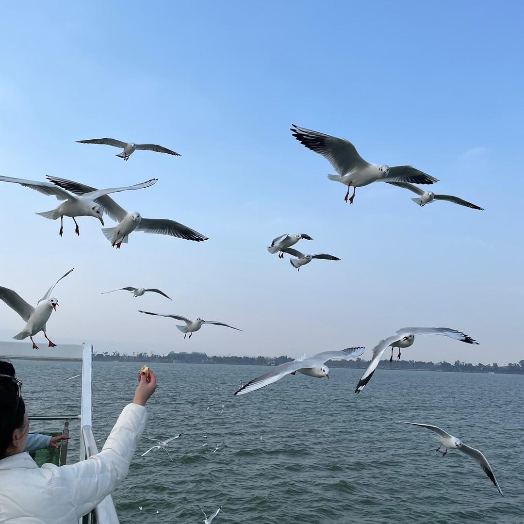 我就是我不一样的烟火🔥
