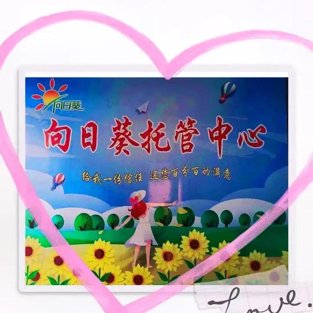 🌻向日葵托管(胜利小学)🌻