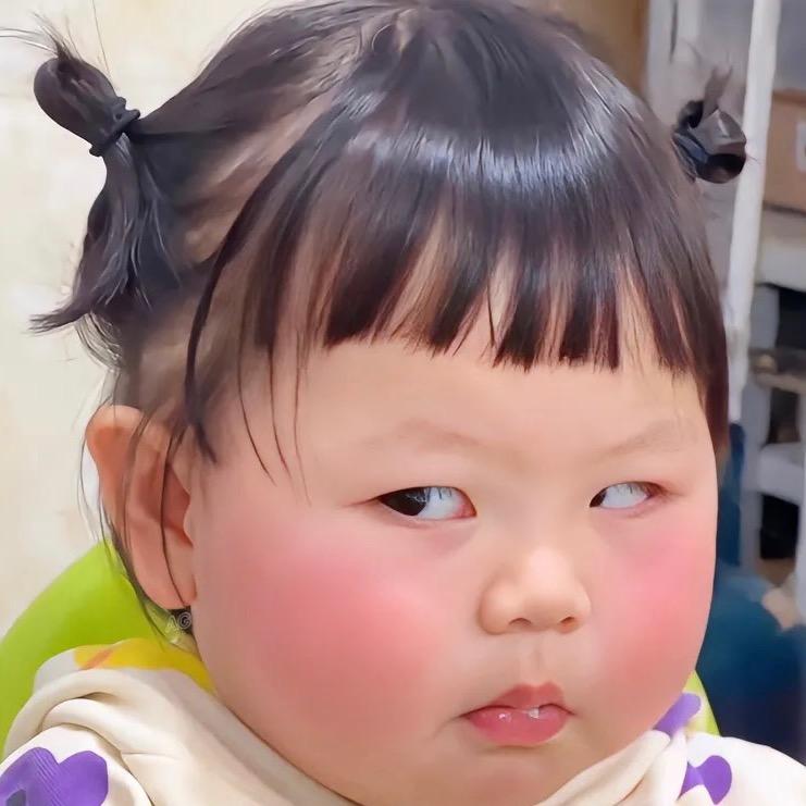 听雨的猫