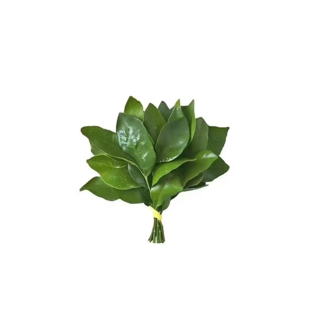 小葵花
