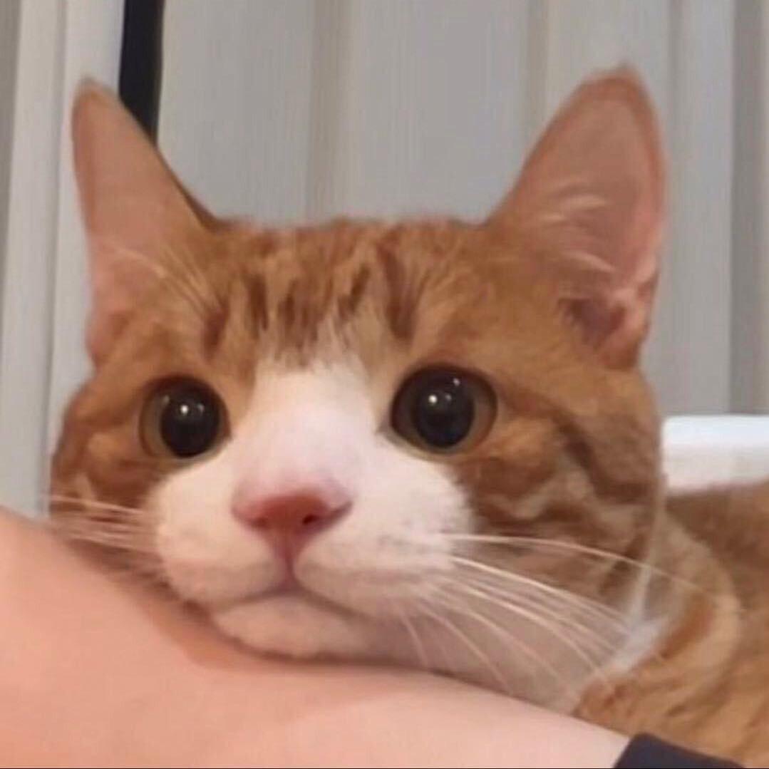 小雷不累