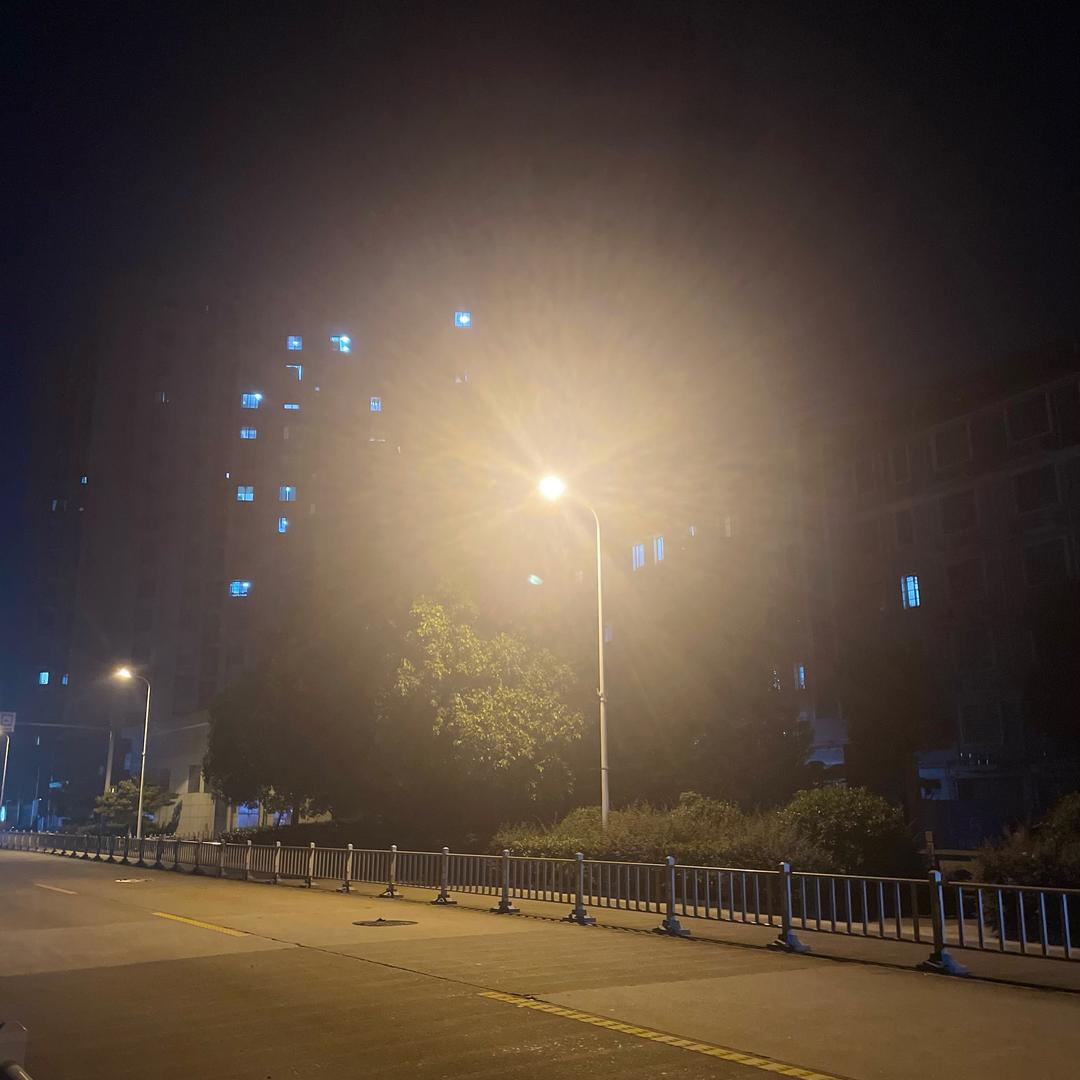 静待花开