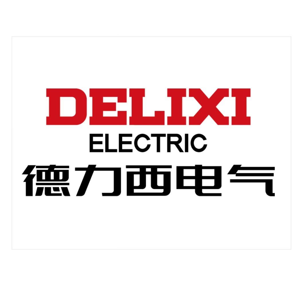 德力西电气增压泵业