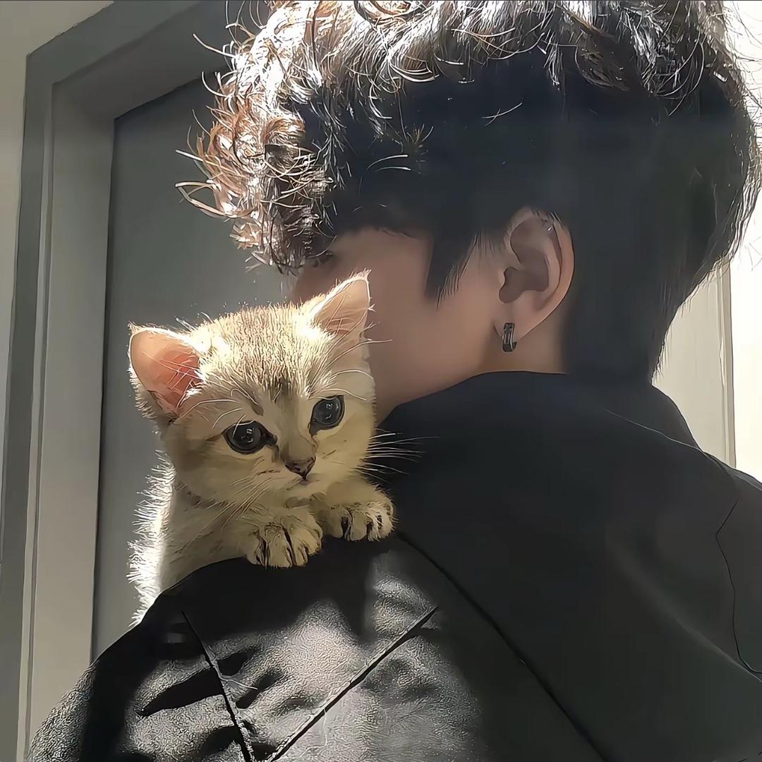 网名还在想.ㅤㅤ