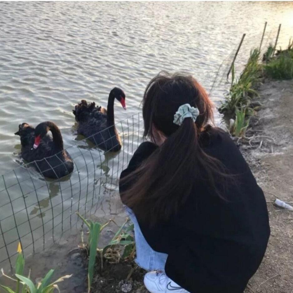 抱着丹丹啊