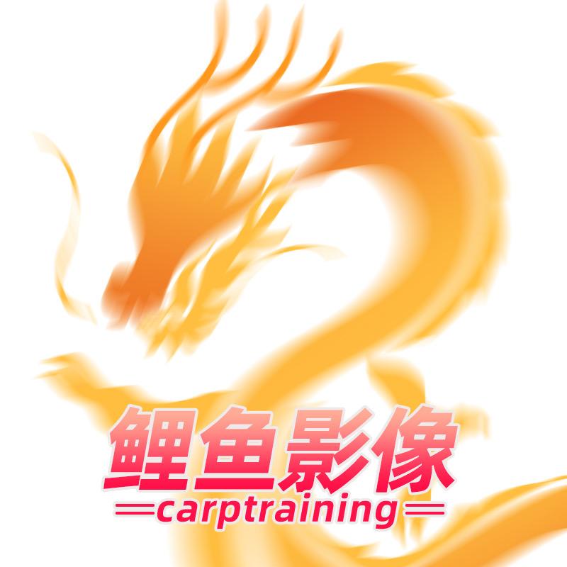 鲤鱼影像 摄影一对一培训