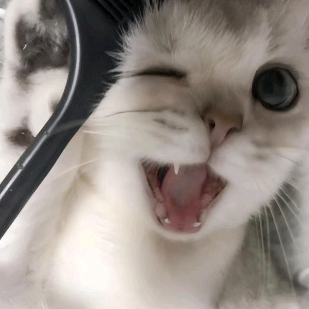 吃米线只吃筷子