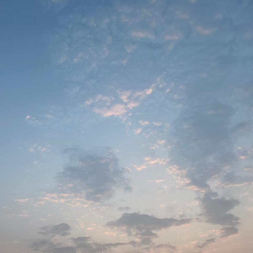游歌