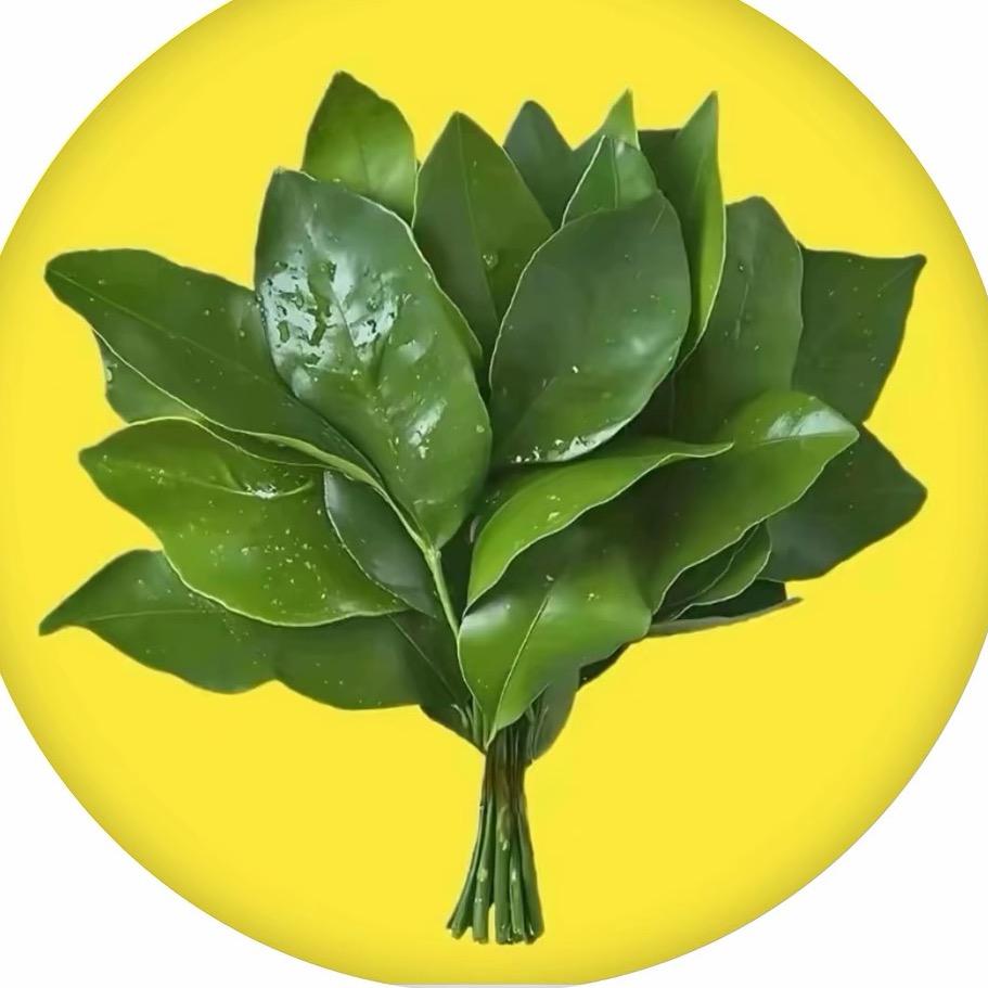 小桂桂爱唱歌🎤