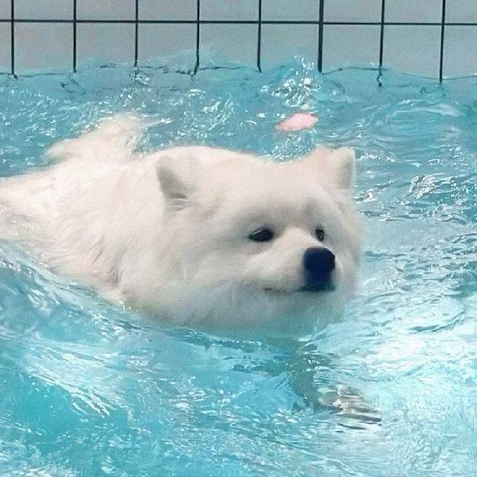 我没事儿就吃溜溜梅