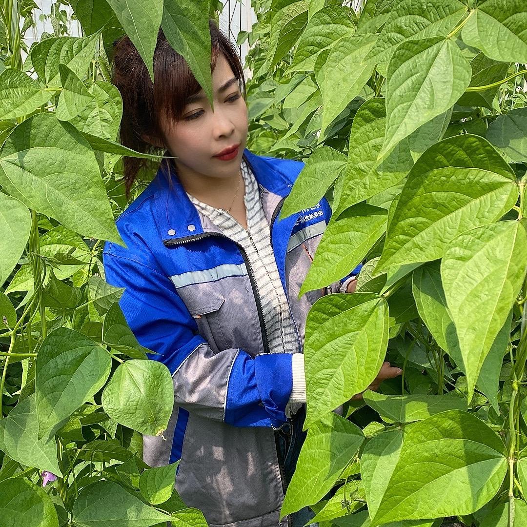 菜籽赵姐(优质商家)
