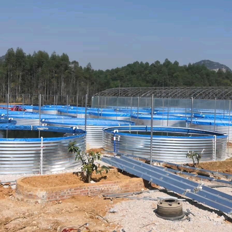 惠州市天诚智慧渔业科技有限公司