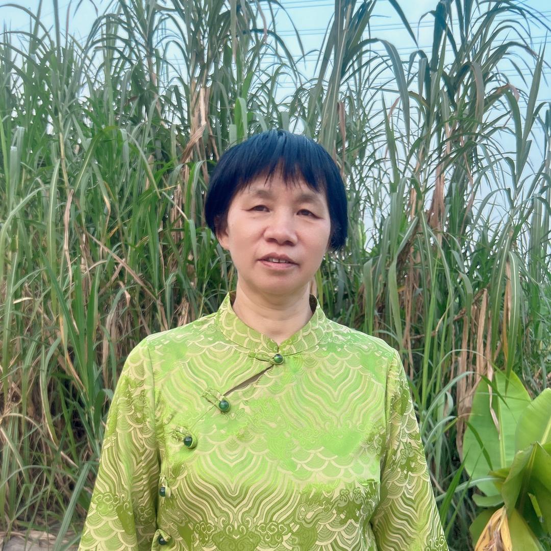 邓翠姐姐