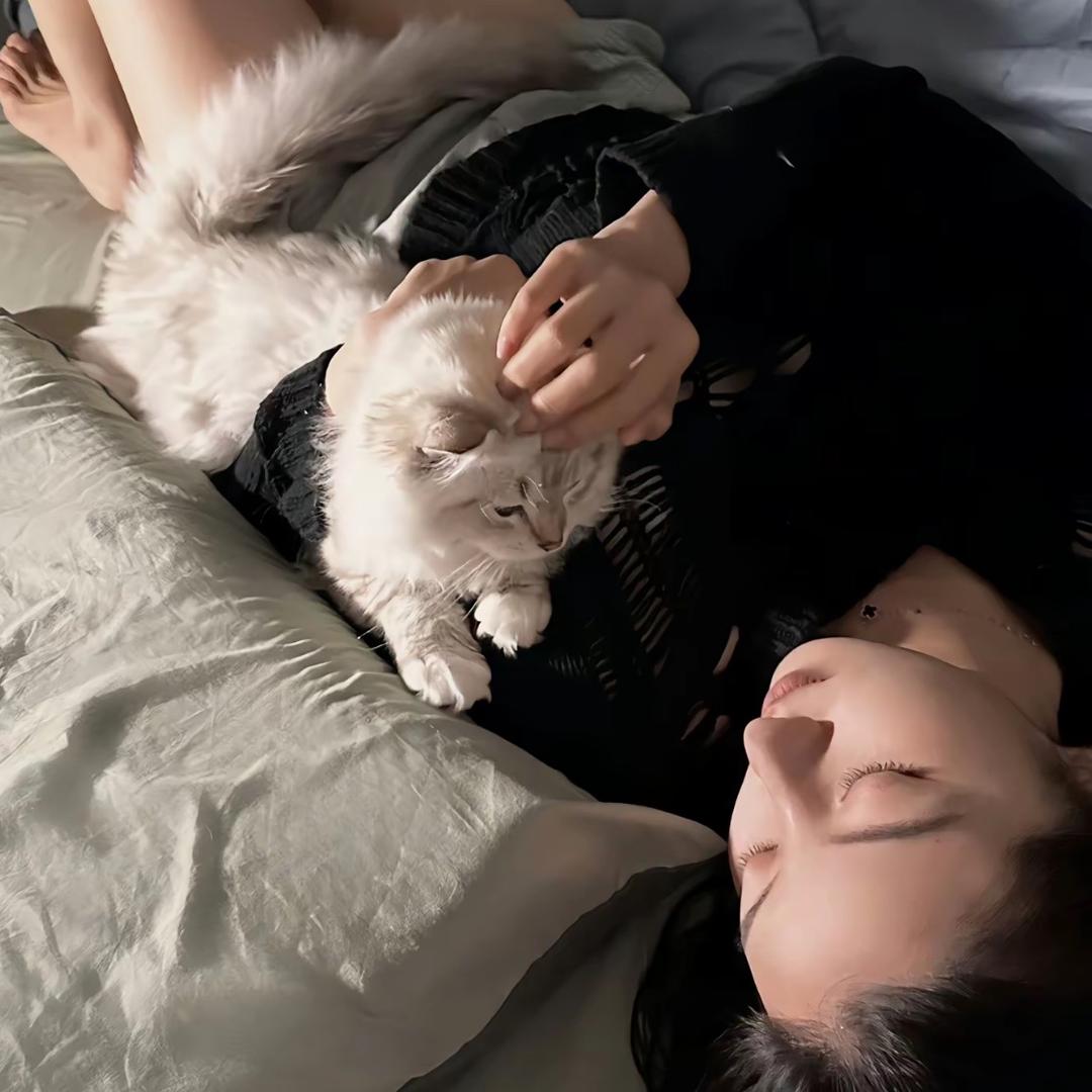 少说两句.