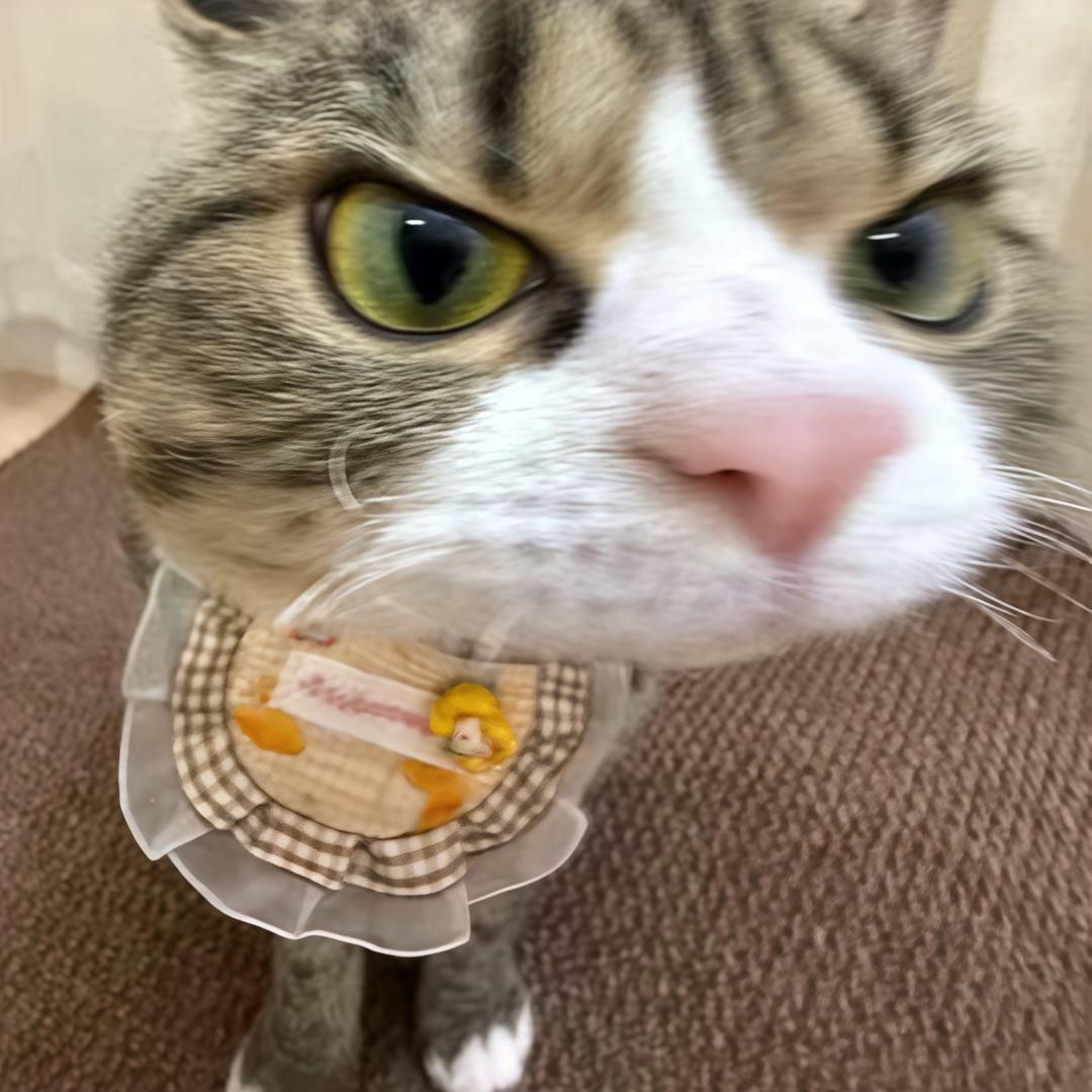 别来烦我
