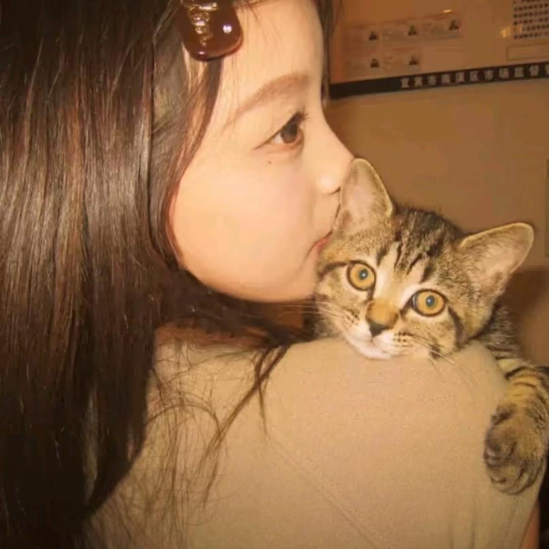 骂我的是日本人