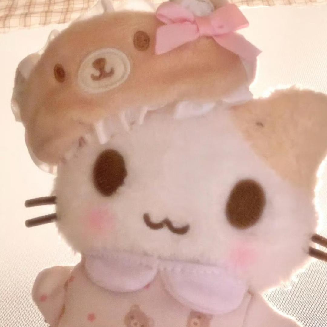 霸气小学生CAT ฅ^>𖥦<^ฅ🐾