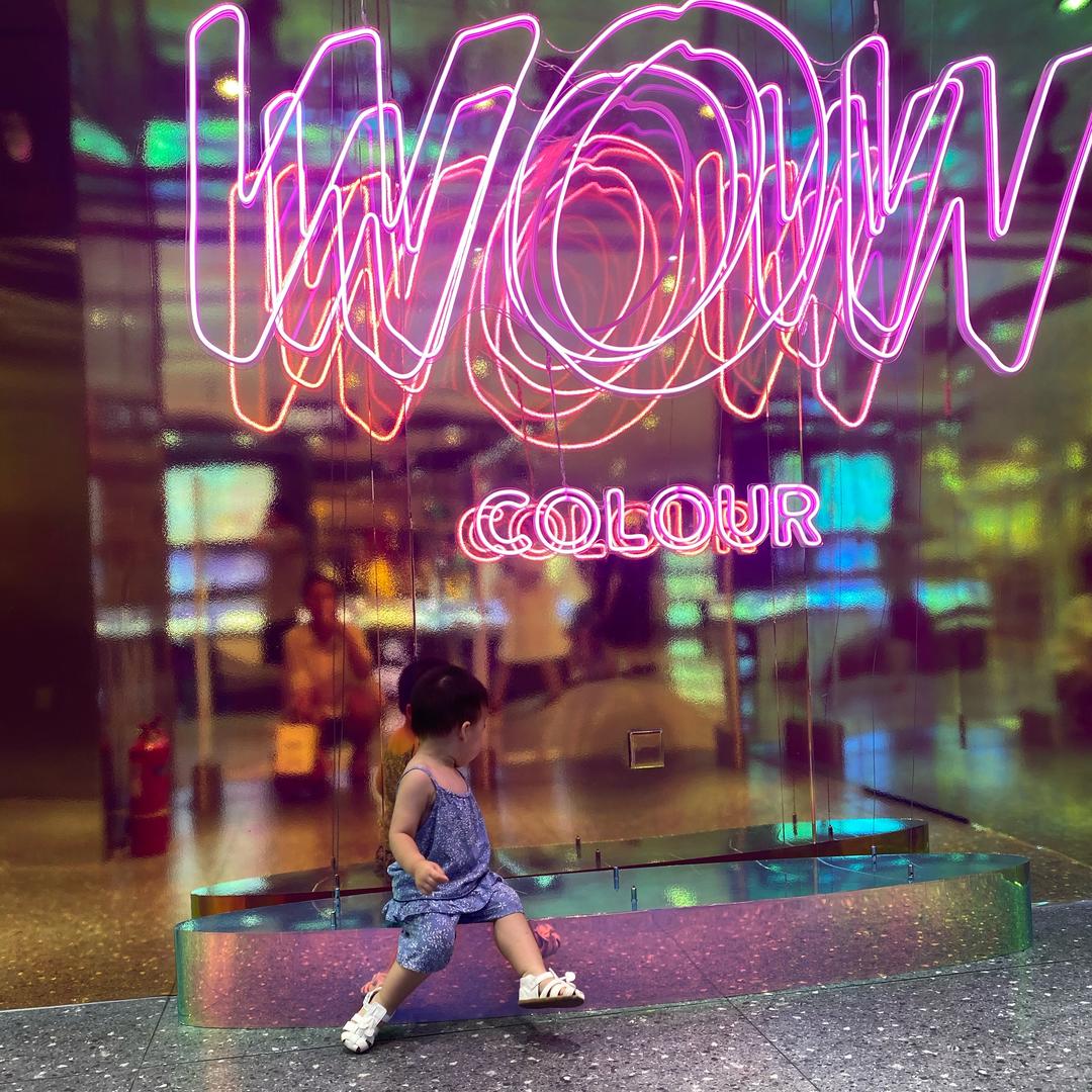 巧克力特的潮玩