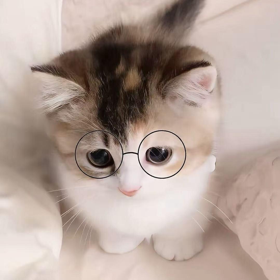 Curoikt