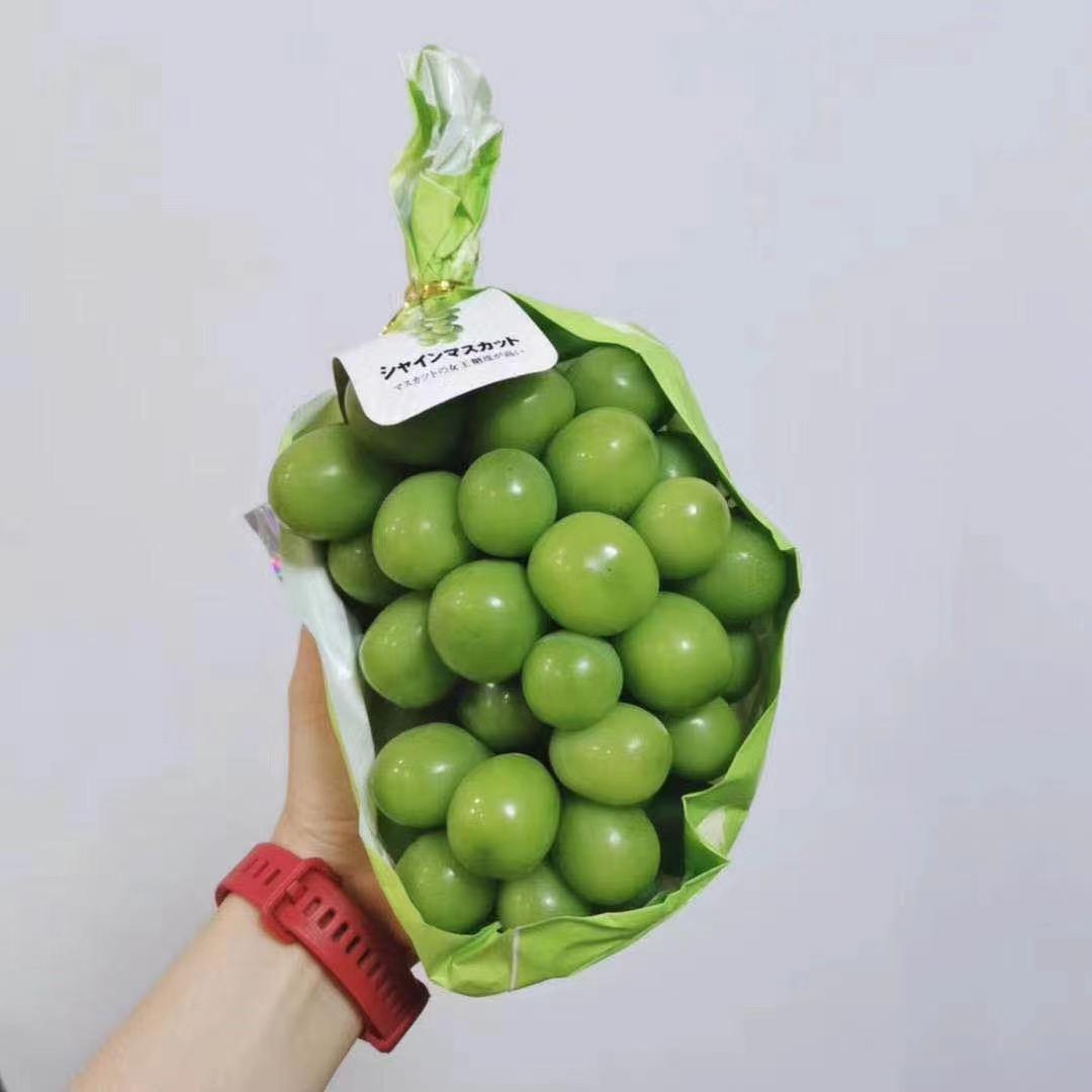 云中山谷