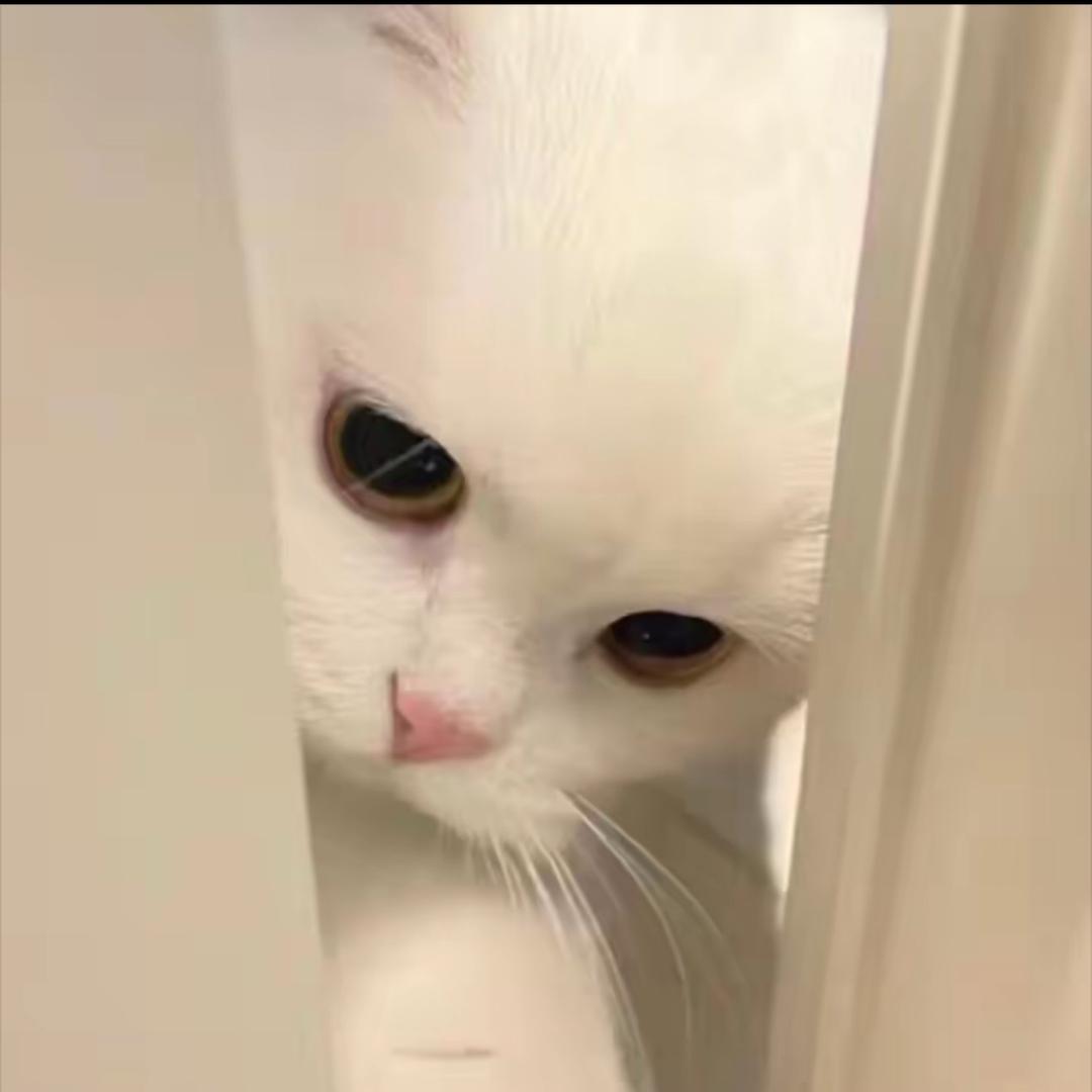 腼腆内向的小号