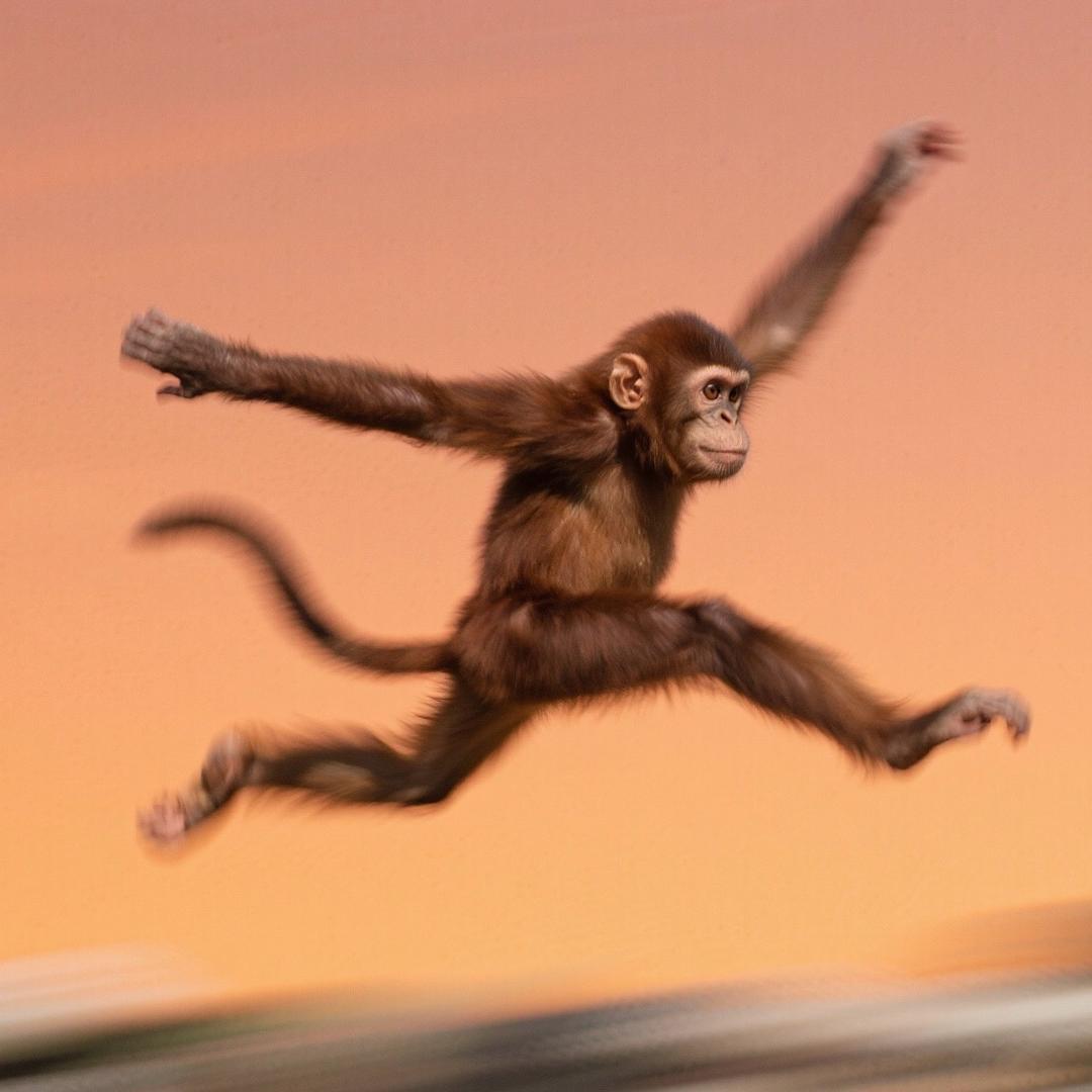 随心